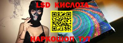 сатива Гатчина