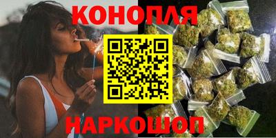 сатива Гатчина