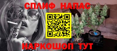 сатива Гатчина