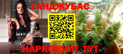 сатива Гатчина