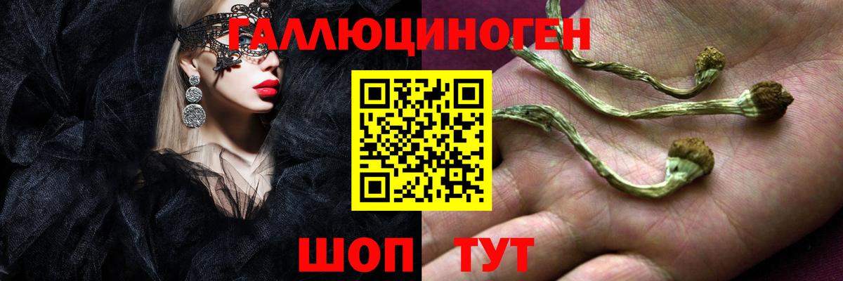 Лыткарино  Псилоцибиновые грибы ЛСД  Вход с VPN 